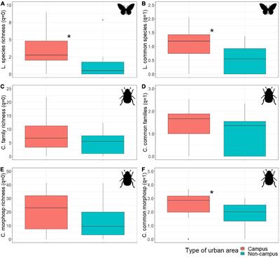 Mediterranean university campuses enhance butterfly (Lepidoptera) and beetle (Coleoptera) diversity